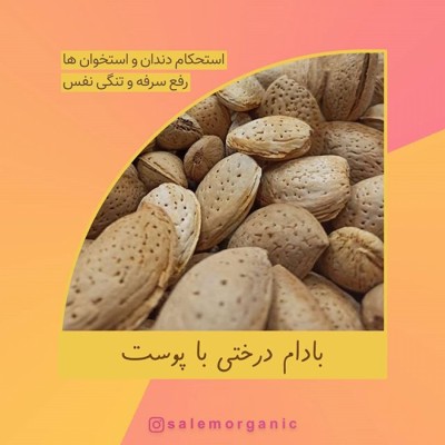 عطاری و خشکبار سالم ارگانیک در قائمشهر