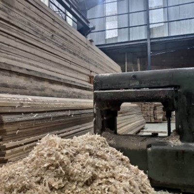 چوب بری و چوب فروشی علیزاده در محمودآباد