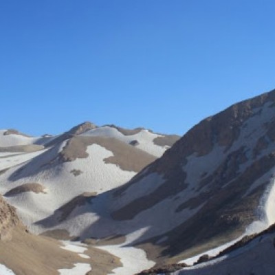 زرد کوه در چهارمحال و بختیاری