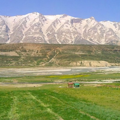 زرد کوه در چهارمحال و بختیاری