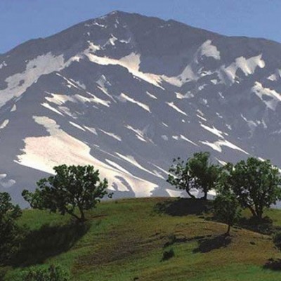 زرد کوه در چهارمحال و بختیاری