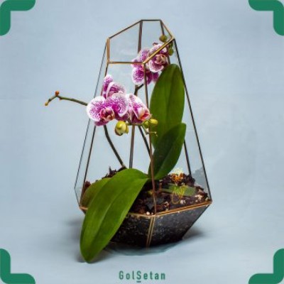 گل فروشی گُل سِتان در تهران