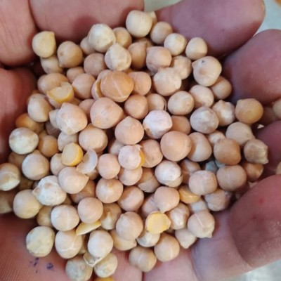 بازرگانی جهانبخش در تهران