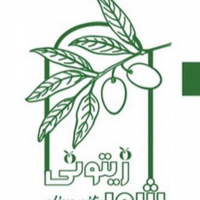 شهر زیتونی در رشت