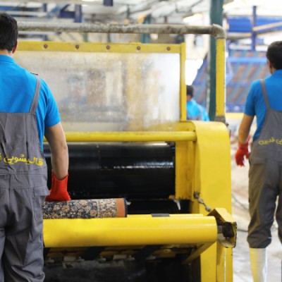 قالیشویی صدف در ساری