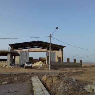 غلات ویدا ویگل در آران و بیدگل