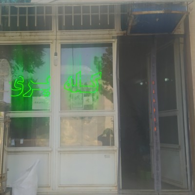 کله پزی حجت در شاهرود