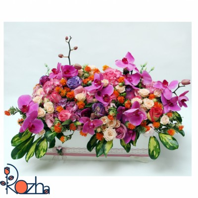 گل روژا در تهران