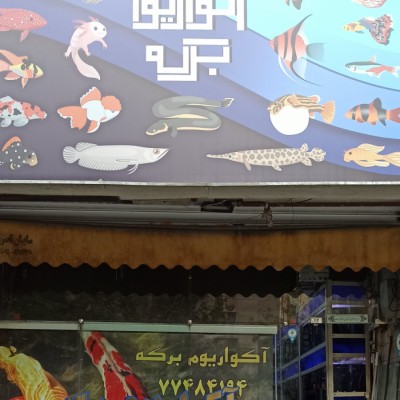 آکواریوم برکه در تهران