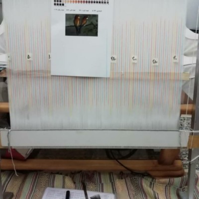 آموزش قالی بافی نقش و نگار امیری در تهران