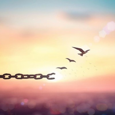 مبلمان فردوس در تهران