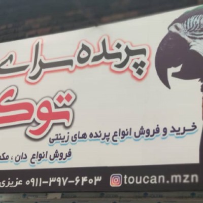 پرنده سرای توکان در قائمشهر