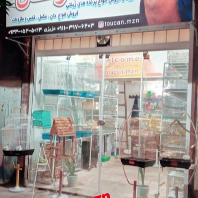 پرنده سرای توکان در قائمشهر