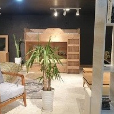 مبل نوید نریمان در بهنمیر