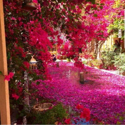 هتل کهن کاشانه در یزد