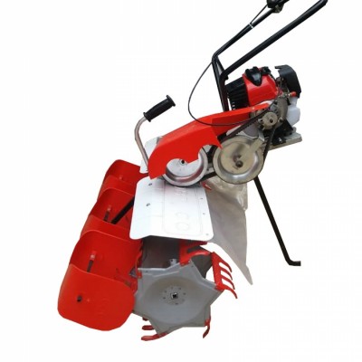 وجین کن برنج دانش بنیان طبرستان در بابلسر