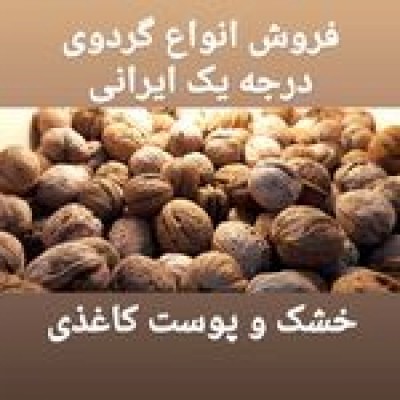 آجیل حاج بابا در بابل