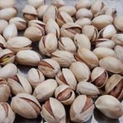 آجیل حاج بابا در بابل