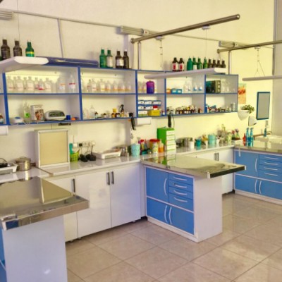 کلینیک دامپزشکی رویانا در محمودآباد