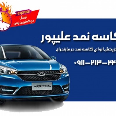 دنیای کاسه نمد علیپور در بابل