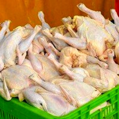 تخم مرغ فروشی اباذری در گرگان