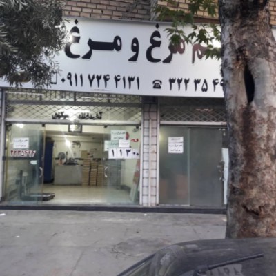 تخم مرغ فروشی اباذری در گرگان