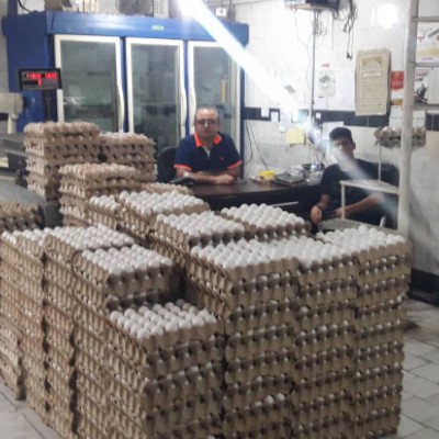 تخم مرغ فروشی اباذری در گرگان