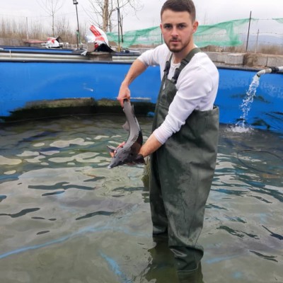 ماهی سرای امیر در لنگرود