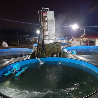 ماهی سرای امیر در لنگرود