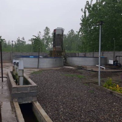 ماهی سرای امیر در لنگرود