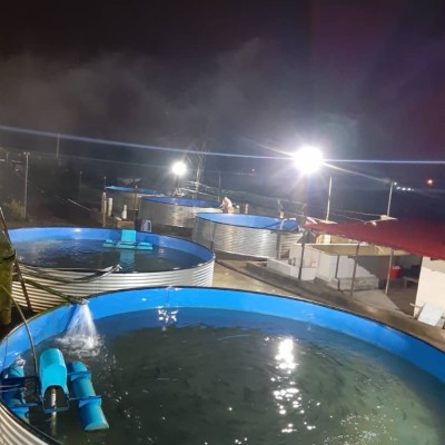 ماهی سرای امیر در لنگرود