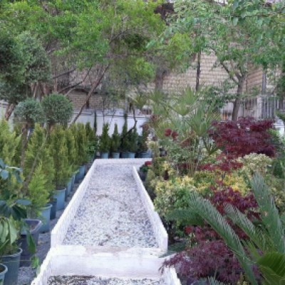 گلخانه و باغ نسترن در کرمانشاه