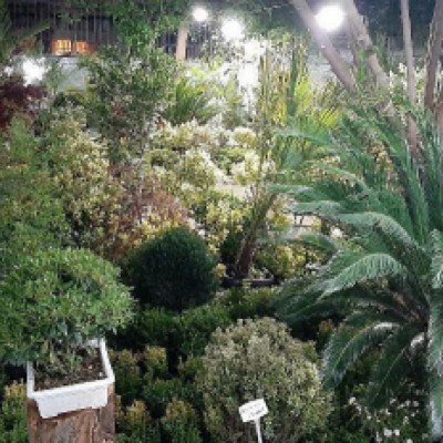 گلخانه و باغ نسترن در کرمانشاه