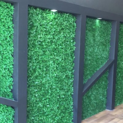 آمل چمن در مازندران