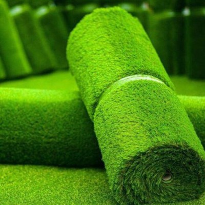 آمل چمن در مازندران