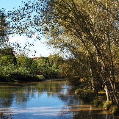 هتل آپارتمان رزآیند در بابلسر