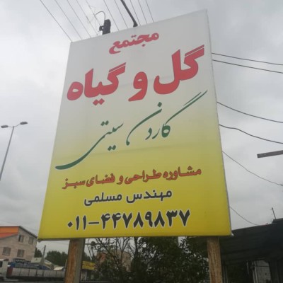 گل و گیاه گاردن سیتی در محمودآباد