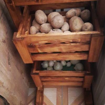 چوب فروشی رضا بجوانی در کرج