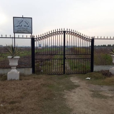 باغ و مزرعه کشاورزی کریمی در سیمرغ