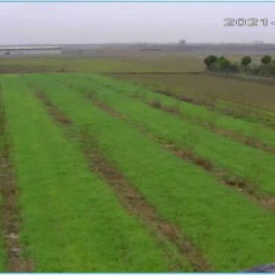 باغ و مزرعه کشاورزی کریمی در سیمرغ