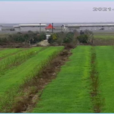 باغ و مزرعه کشاورزی کریمی در سیمرغ