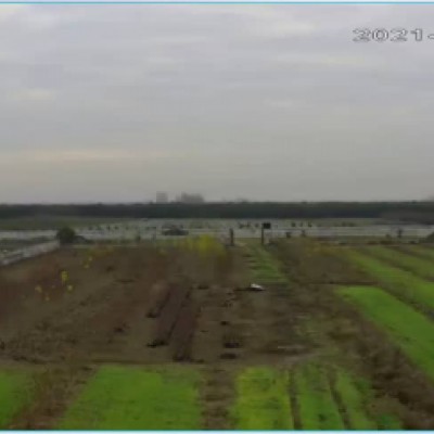 باغ و مزرعه کشاورزی کریمی در سیمرغ