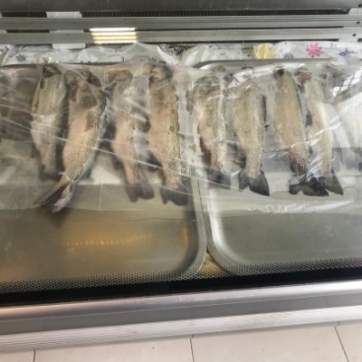 فروشگاه پروتئین اسدی در گرگان