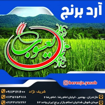 بورس برنج یعسوب در تهران