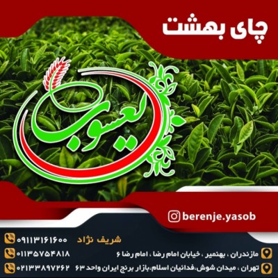 بورس برنج یعسوب در تهران