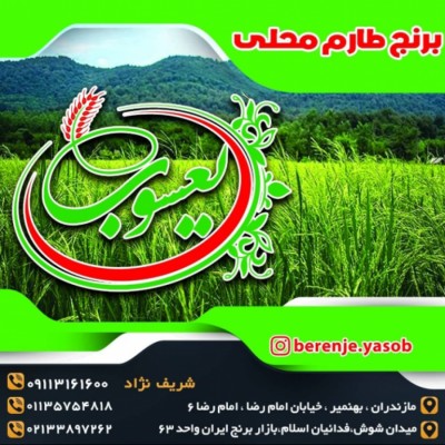 بورس برنج یعسوب در تهران