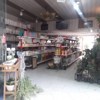 گلکده سام (گل و گلدان) در گرگان