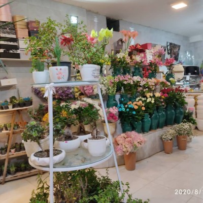گل فروشی گلسا در اصفهان