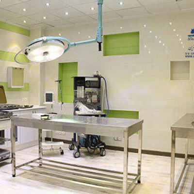 بیمارستان شبانه روزی دامپزشکی درین در تهران