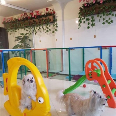 بیمارستان شبانه روزی دامپزشکی درین در تهران